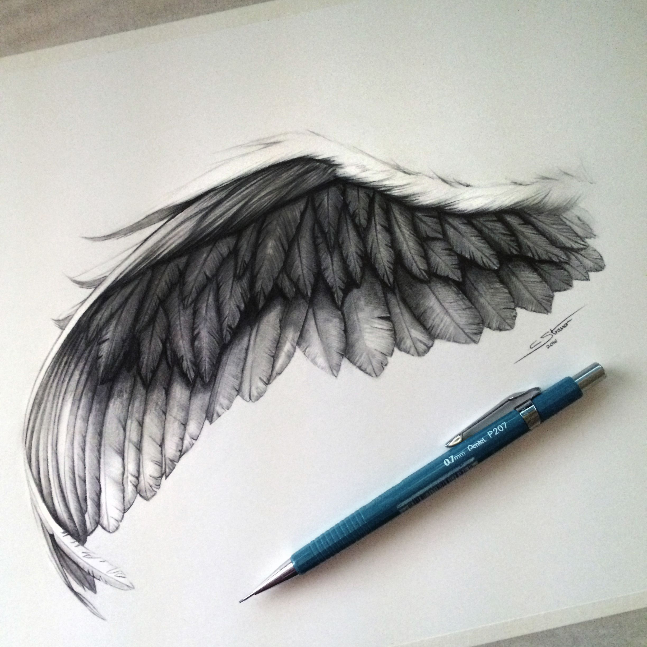 2448x2448 Angel Wing Drawing Bristol, Smooth And Draw