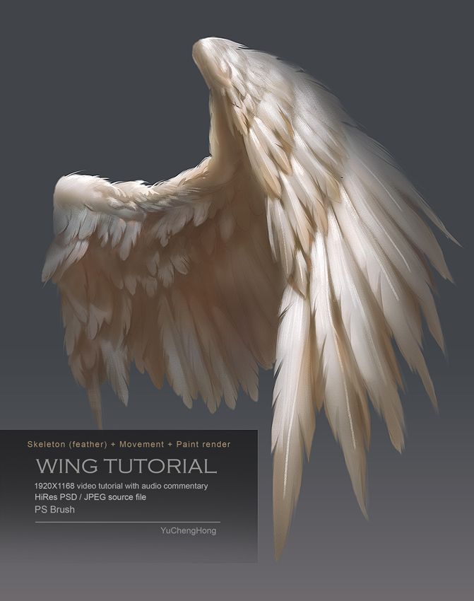 671x850 Photos How To Paint Angel Wings,