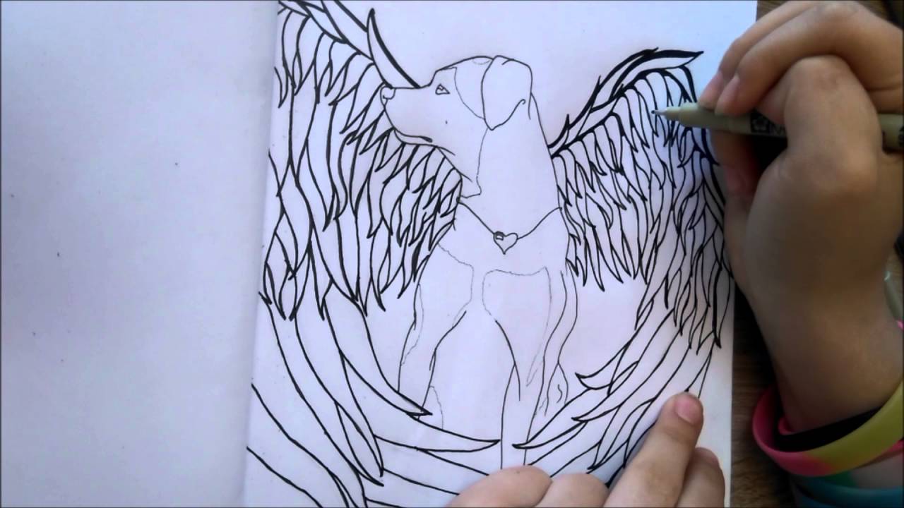1280x720 Dog With Angel Wings Speed Drawing