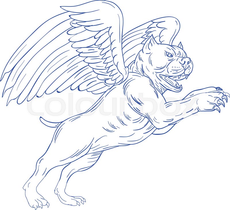 800x732 Drawing Sketch Style Illustration Of An American Bully Dog