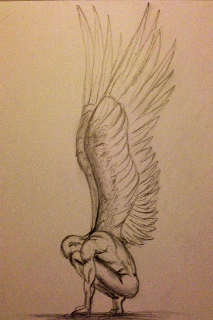 736x1106 Drawing Angels Kalars Hd 3d Best Angel Wings Drawing Ideas