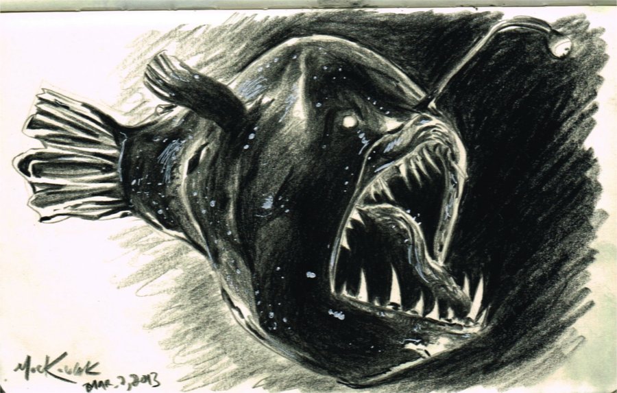 900x573 Angler Fish Sketch By Nickmockoviak