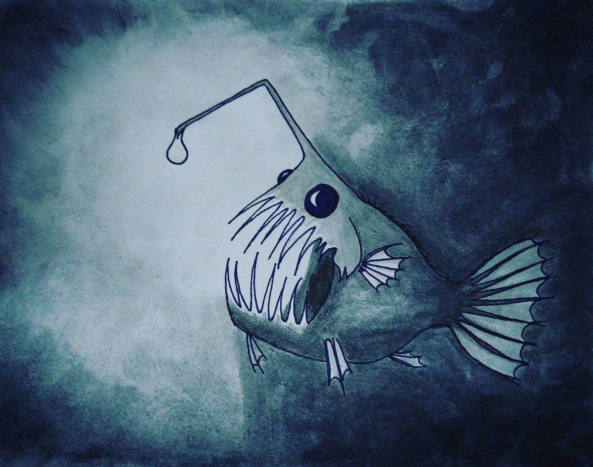 1200x946 Kelsey O'Neill On Twitter