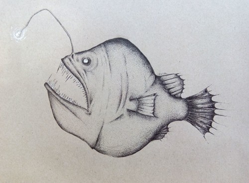 500x367 Anglerfish Drawing Tumblr