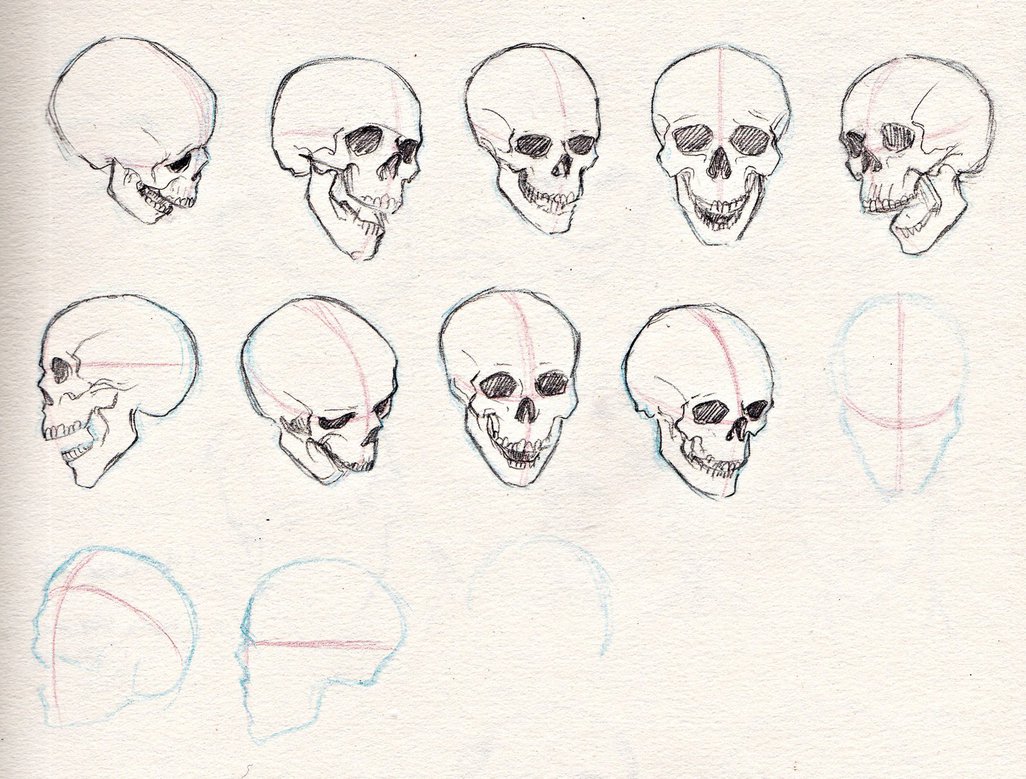 1026x779 Practice Sketches Skull Angles By Kerlasia