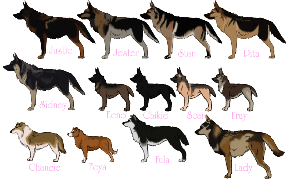 1024x626 Aka's Rng Bi Weekly Show Females By Angry Dog For Life