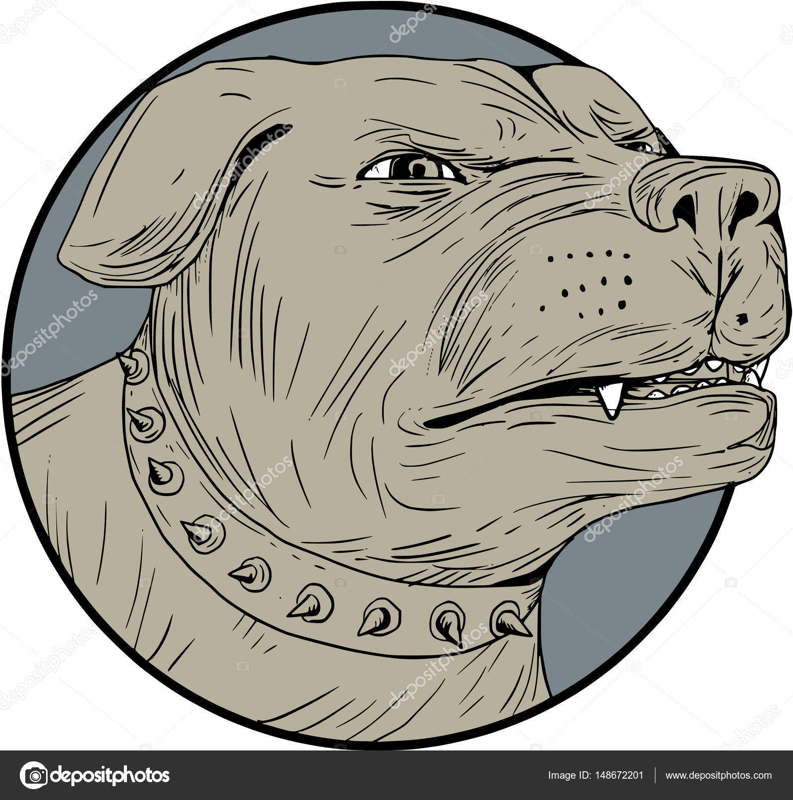 1600x1615 Rottweiler Guard Dog Head Angry Drawing Stock Vector