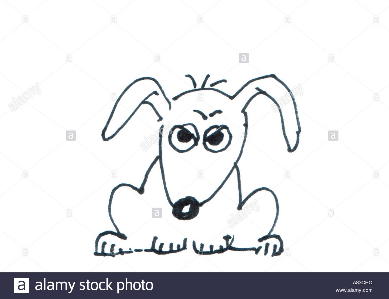 1300x999 Angry Dog Drawing By Dirk V Mallinckrodt Stock Photo, Royalty Free