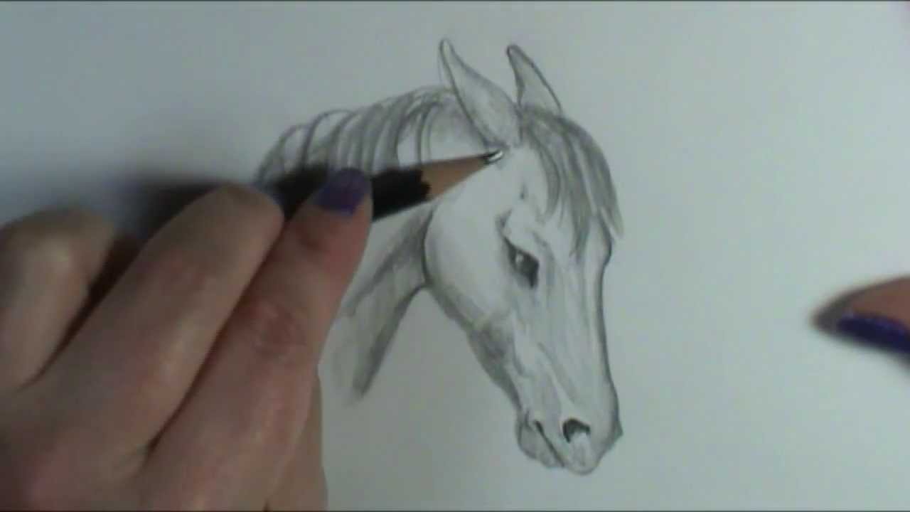 1280x720 How To Draw Angry Horse Ears