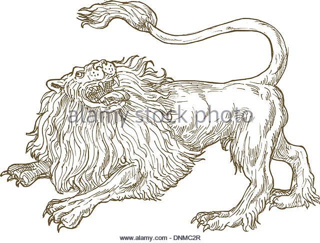 640x487 Angry Lion Drawing Stock Photos Amp Angry Lion Drawing Stock Images