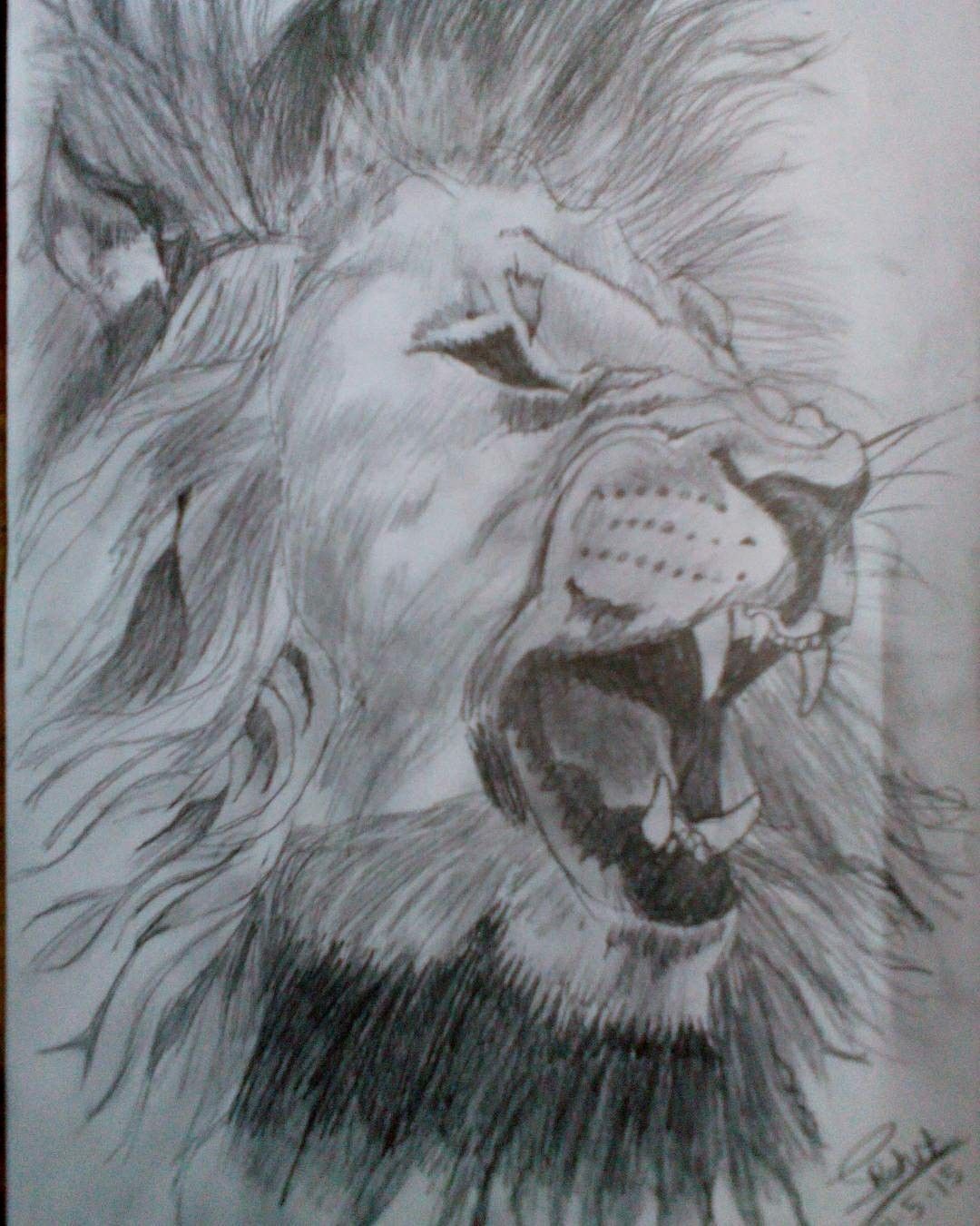 1080x1350 Angry Lion Pencil Sketch By Me!! Pencil Sketches Drawn By Me