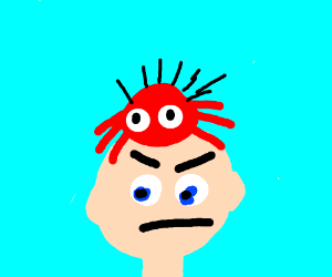 300x250 Steaming Hairy Crab Sitting On Angry Person