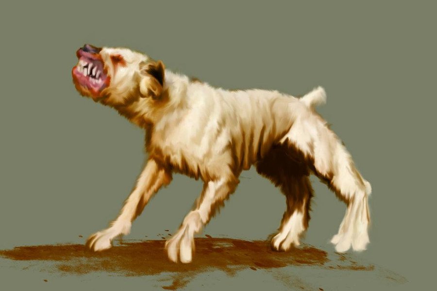 900x600 Angry Pitbull By Charabwah