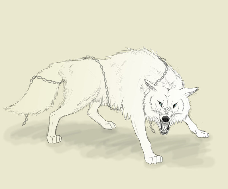 800x664 Angry Wolf By Fleetingember