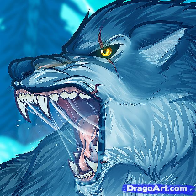 625x625 How To Draw An Angry Wolf, Angry Wolf, Step By Step, Forest