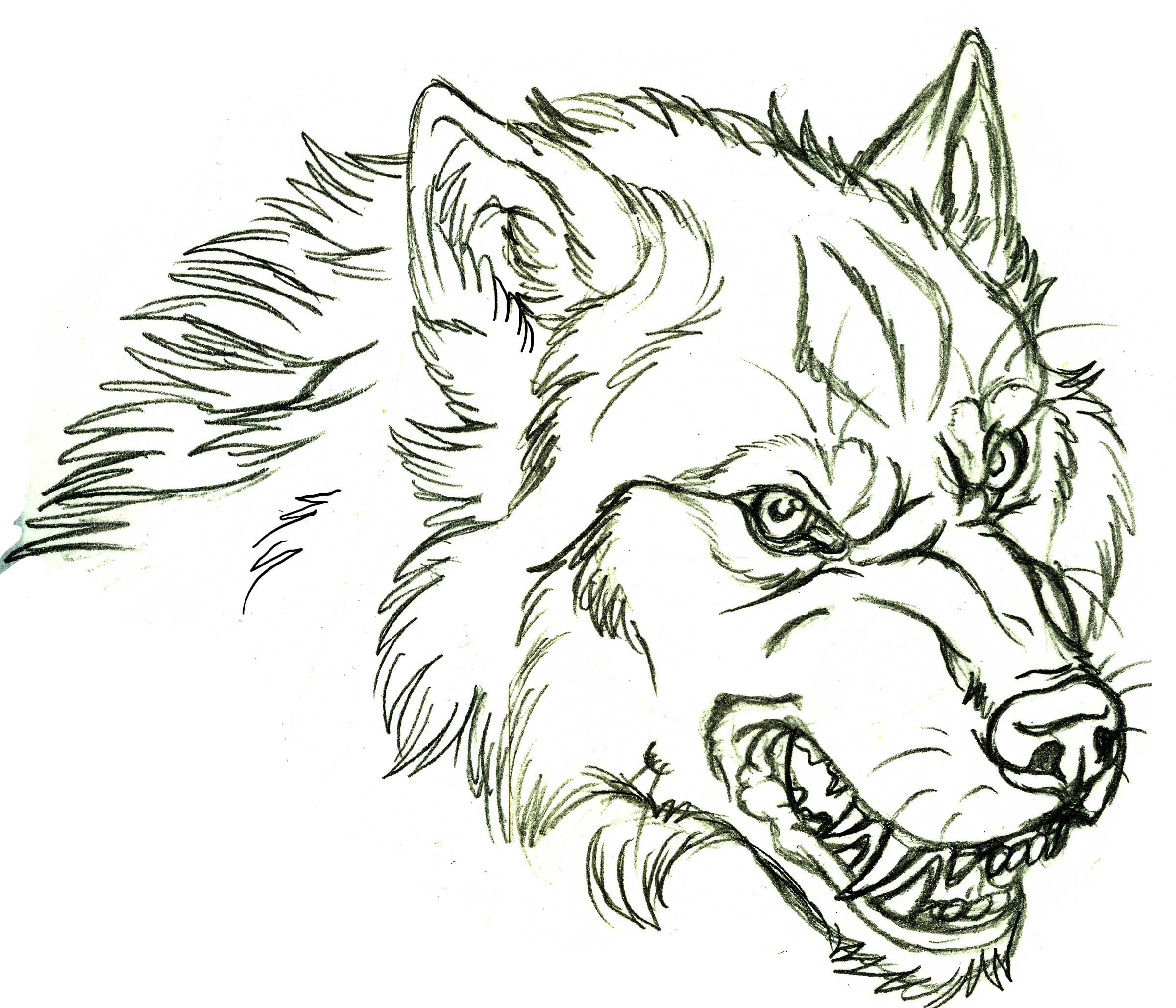 2400x2057 Free Sonic Werewolf Coloring Pages With Cactus Coloring Pages.jpg