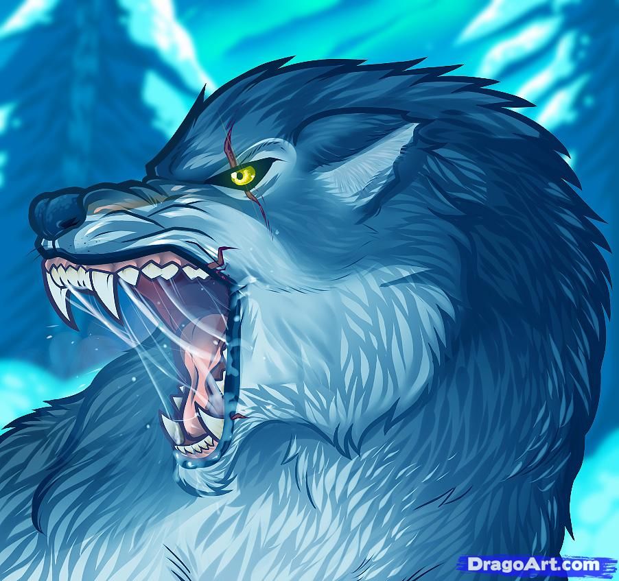 902x847 How To Draw An Angry Wolf, Angry Wolf Step 12 Wolves