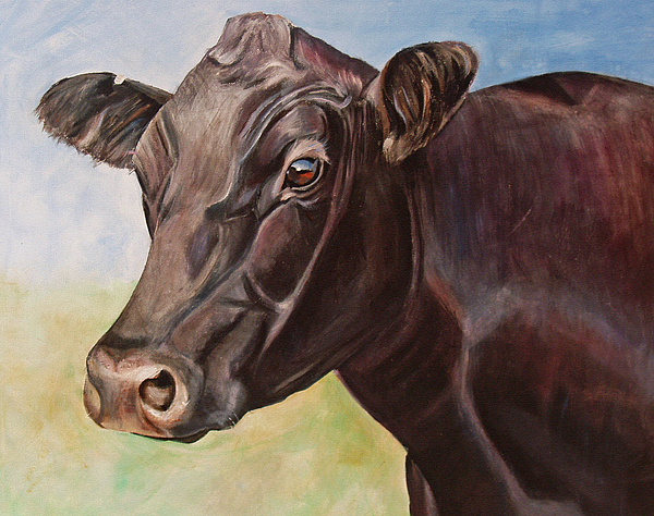600x474 Black Angus Cow Paintings Fine Art America