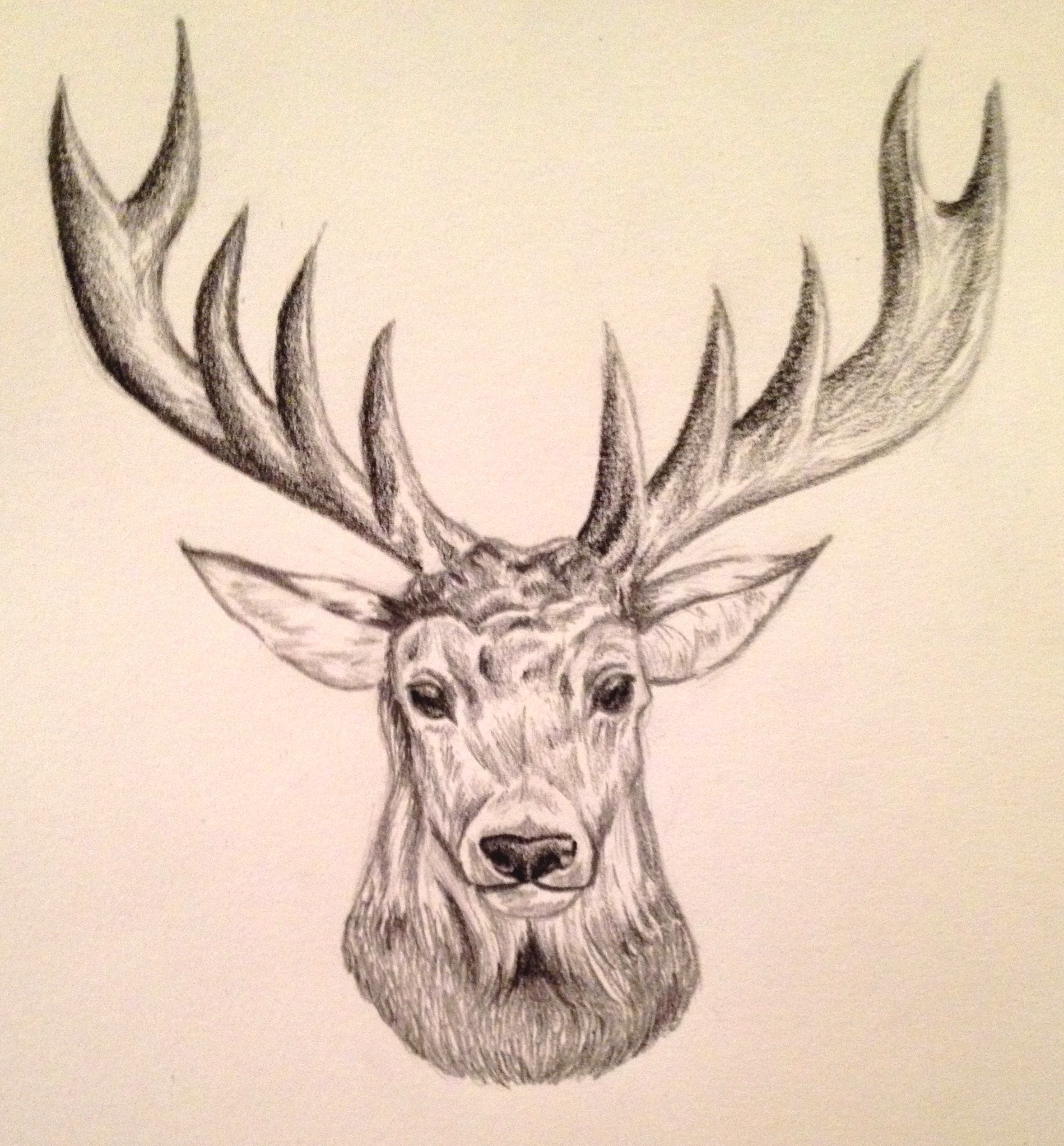 2357x2538 It's Christmas, My Deer Animal Drawings, Sketches And Drawings