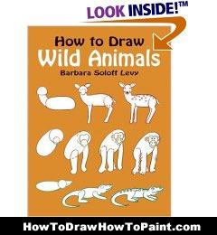 240x260 Wildlife Drawing Sample Pages From Many Drawing Books