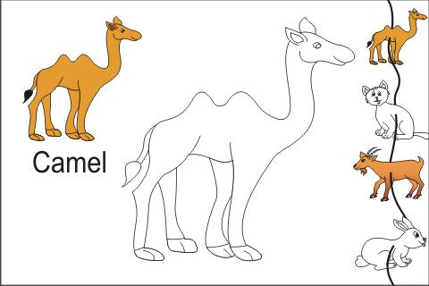 480x320 Kids Trace Domestic Animals 3.0 Download Apk For Android