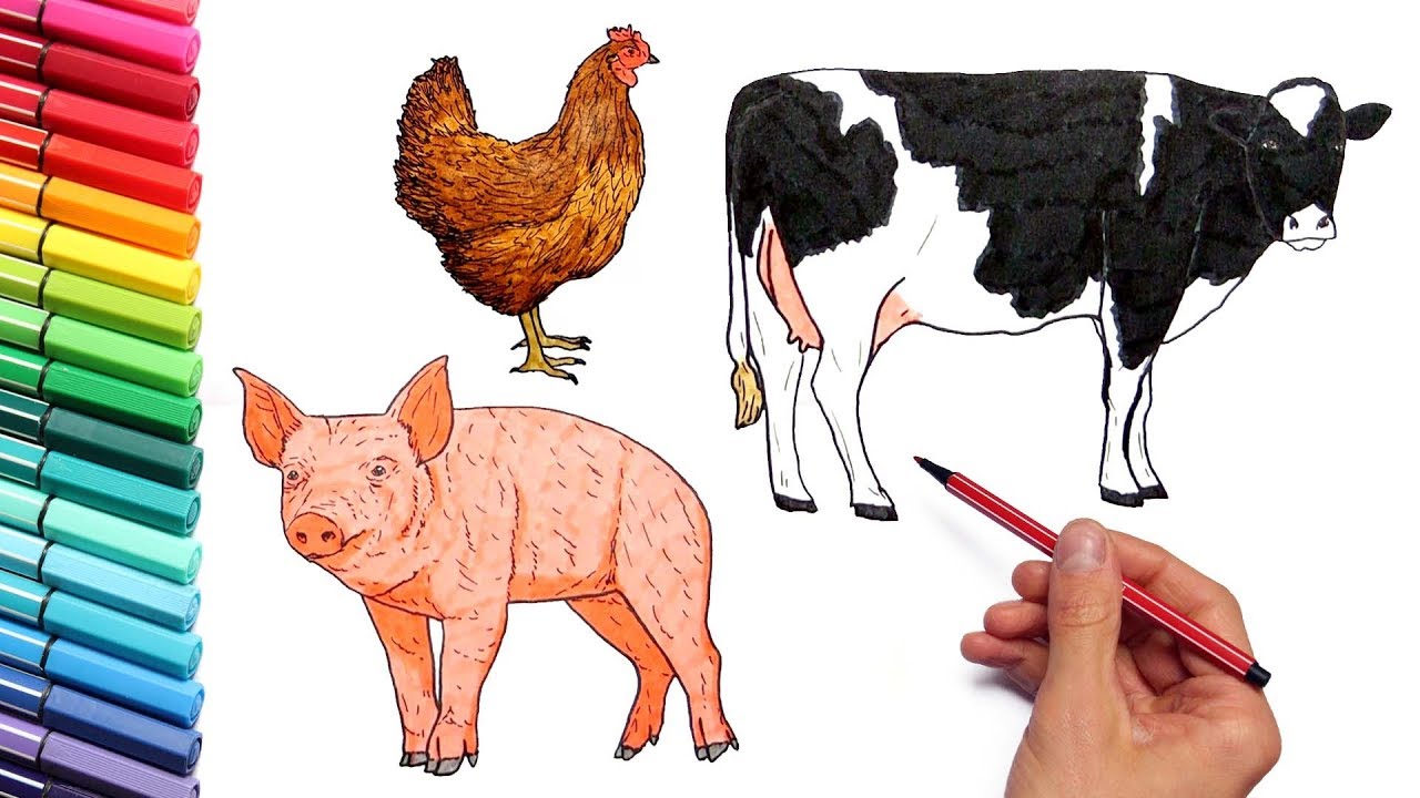 1280x720 Farm Animals Coloring Pages