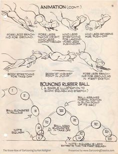 236x307 Balto Character Design Run Cycle Dog Anatomy Amp Reference