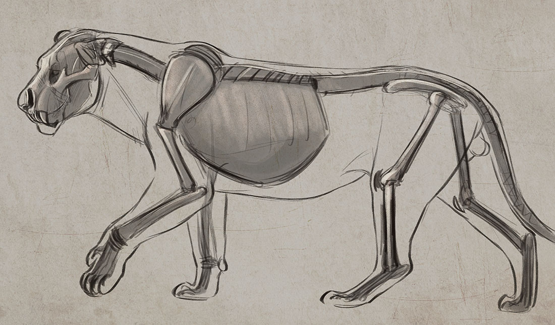 1100x645 How To Draw Big Cats