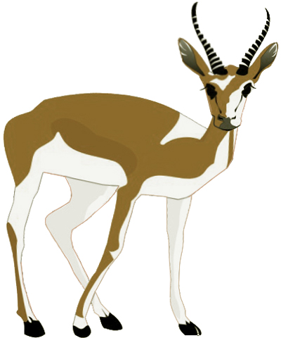 400x480 How To Draw A Gazelle