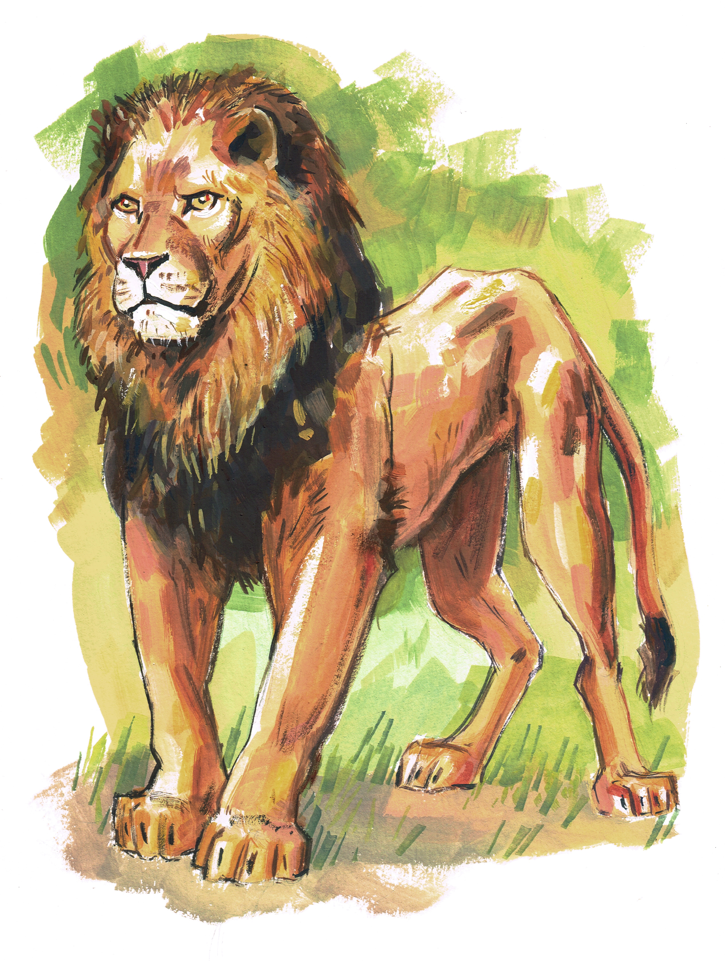 2524x3346 Garygeraths Animal Drawing