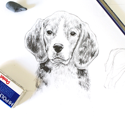 426x394 How To Draw Dog Eyes That Look Amazingly Realistic