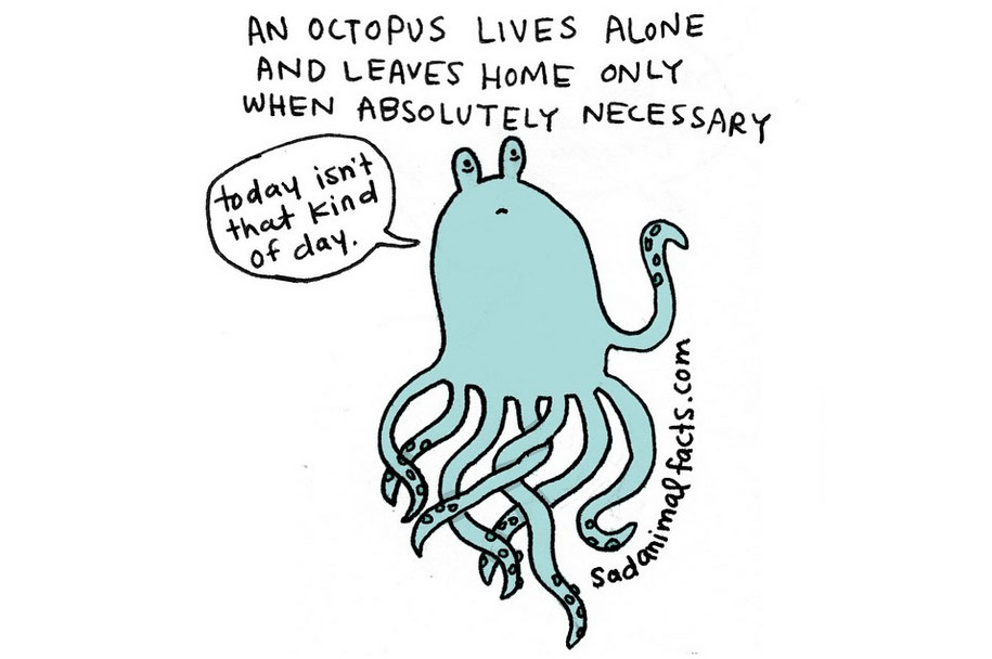 915x608 Sad Animals Facts That'Ll Make You Slightly Depressed