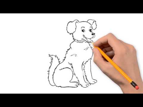 480x360 Dog Animals Pencil To Draw Step By Step
