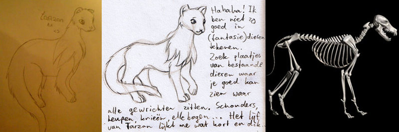 800x265 Drawing Tips Fantasy Animal By Popgrafix