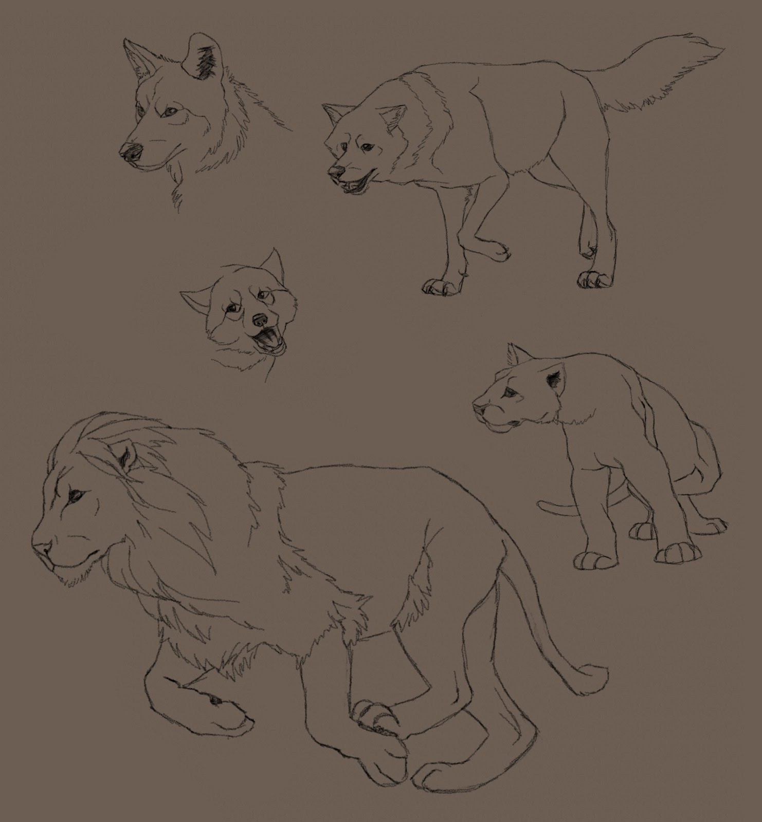 1482x1600 Sketches Used In A How To Draw Video I Really Liked Art