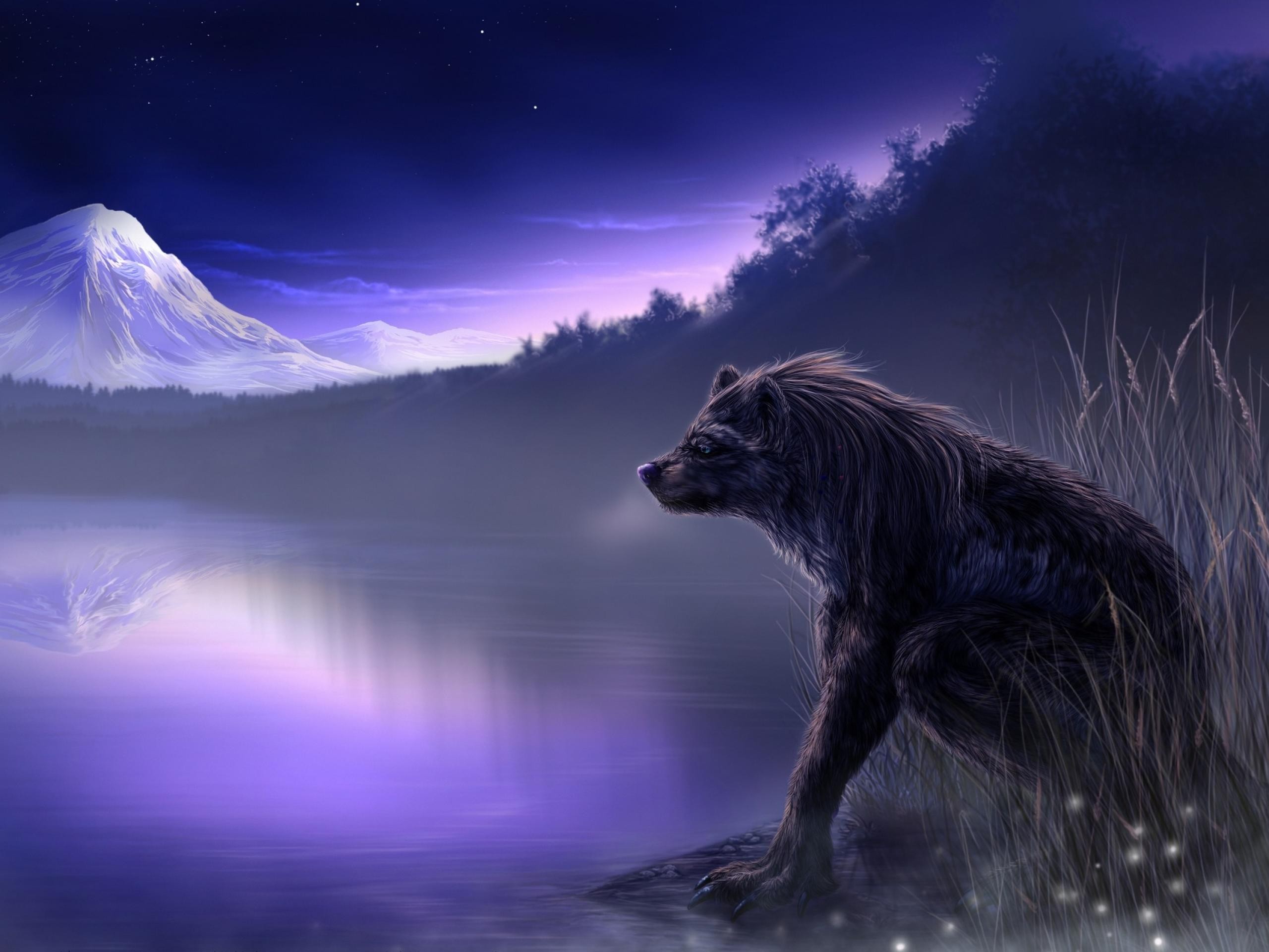 2560x1920 Other Mist Abstract Drawing Animal Desktop Wallpaper Hd 169 High