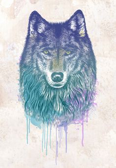 236x340 Wolf Drawing Wallpaper