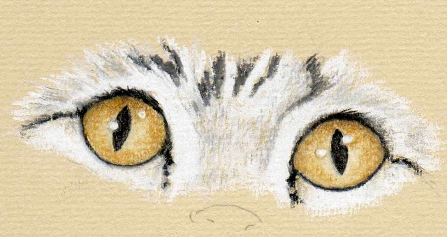 640x339 Correcting Animal Eyes Colin Bradley Art