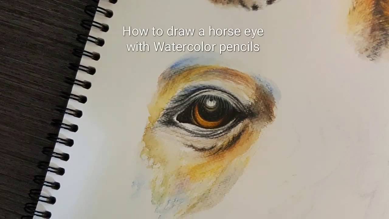 1280x720 Drawing A Horse Eye With Watercolor Pencils How To Draw Animal