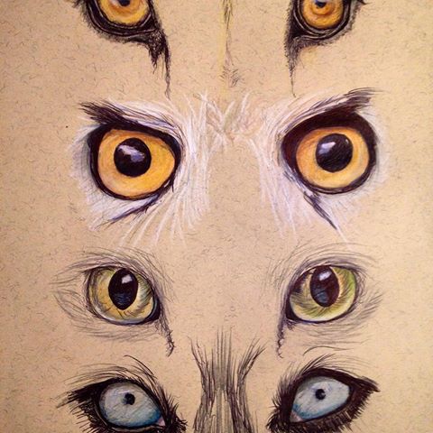 480x480 Roo (@rooper321) Instagram Photos And Videos