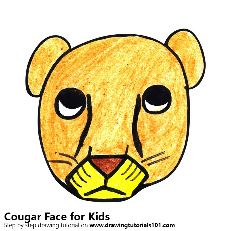 800x800 Learn How To Draw A Cougar Face For Kids (Animal Faces For Kids