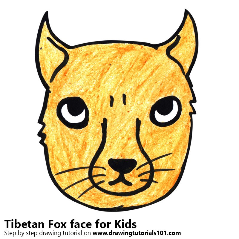 800x800 Learn How To Draw A Tibetan Fox Face Kids (Animal Faces
