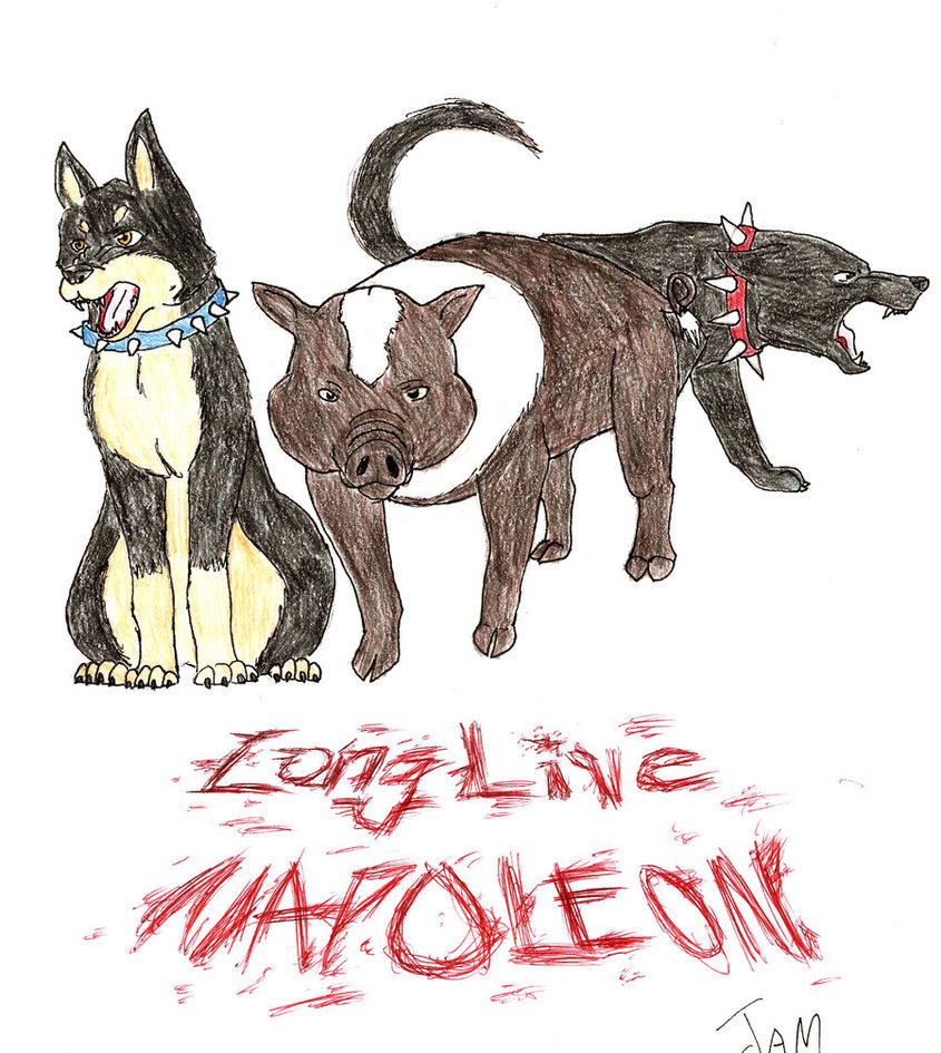 845x945 Animal Farm Napoleon By Flyinfelinealchemist