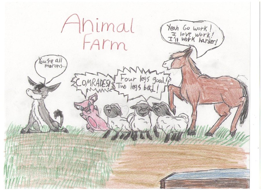 900x656 Animal Farm Sketch By Chinchillagirl2950