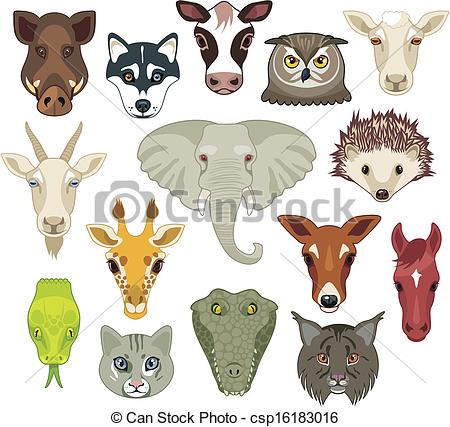 450x427 Animal Heads Set. Set With Heads Of Various Wild And Vector