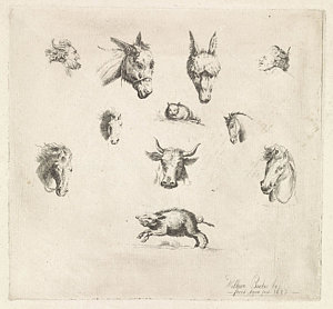 300x278 Donkey Head Drawings Fine Art America