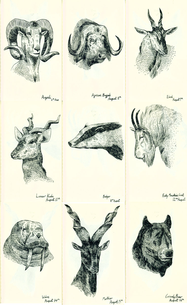 737x1200 Various Animal Heads By Teagle
