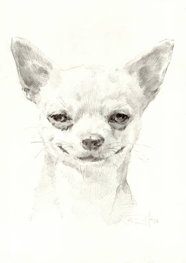 375x530 Animal Drawings For Sale Saatchi Art