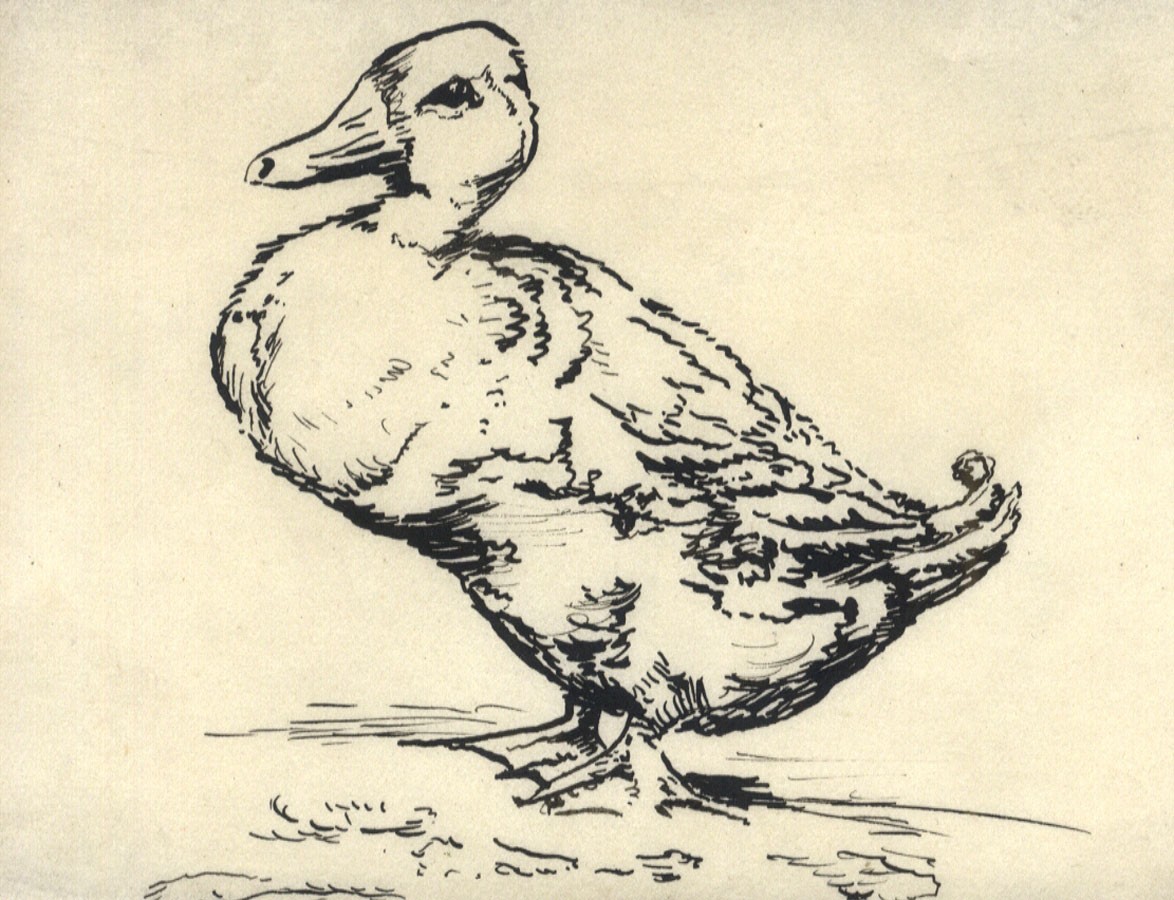 1174x900 H.b. Morgan