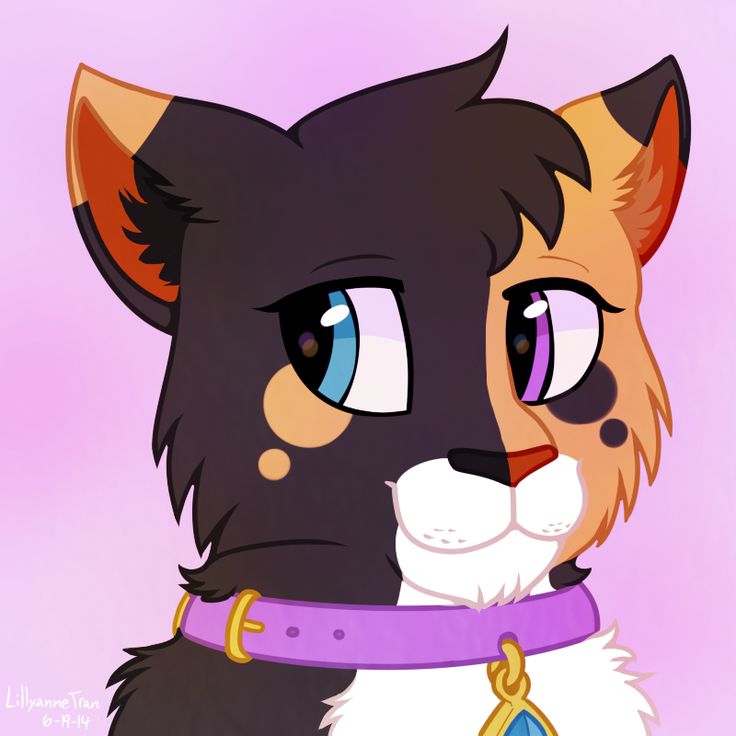 736x736 Birdycrossing Drawings For Animal Jam Smile